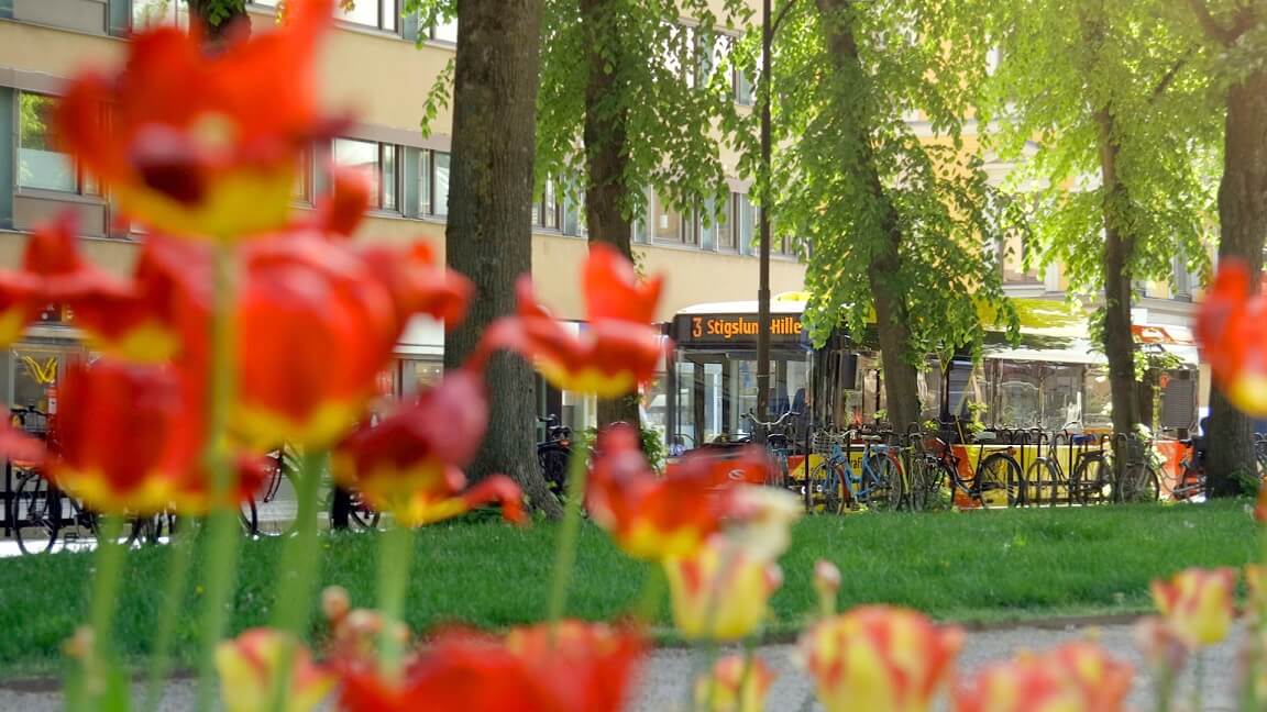 W Gävle na biogazie