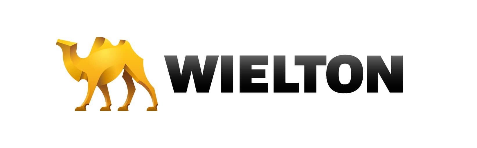 Zmiany w zarządzie Wieltonu
