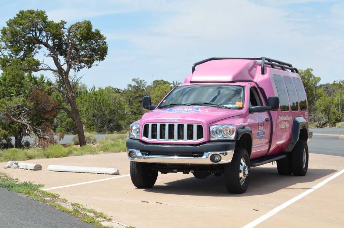 Odcienie szarości bez przyszłości?